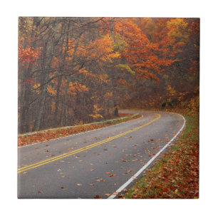 USA, Virginia, Shenandoah National Park, Skyline Tile