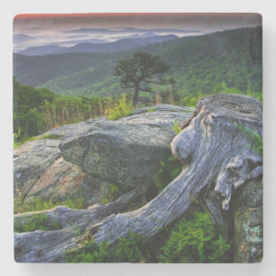 USA, Virginia, Shenandoah National Park. Stone Coaster