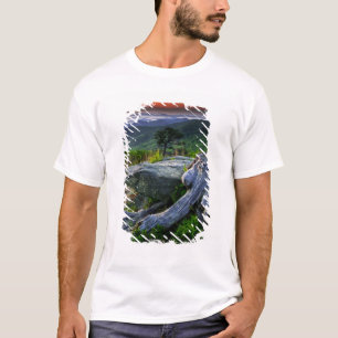 USA, Virginia, Shenandoah National Park. T-Shirt