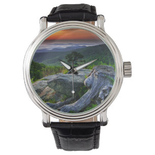 USA, Virginia, Shenandoah National Park. Watch