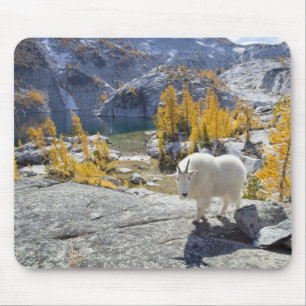 USA, WA, Alpine Lakes WIlderness Enchantments. Mouse Mat