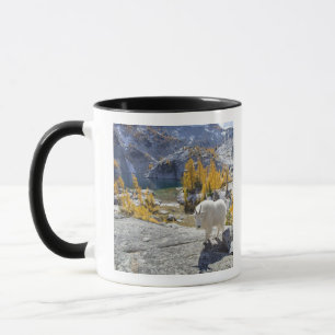 USA, WA, Alpine Lakes WIlderness Enchantments. Mug