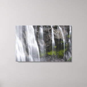 USA, WA, Mt. Rainier NP, Narada Falls Canvas Print
