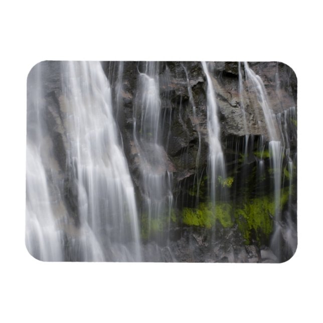 USA, WA, Mt. Rainier NP, Narada Falls Magnet (Horizontal)