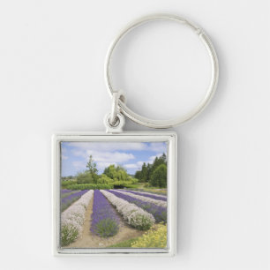 USA, WA, Sequim, Purple Haze Lavender Farm Key Ring
