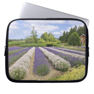 USA, WA, Sequim, Purple Haze Lavender Farm Laptop Sleeve