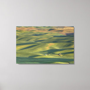 USA, WA, Whitman Co., Palouse Farm Fields From Canvas Print