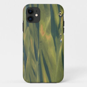 USA, WA, Whitman Co., Palouse Farm Fields From iPhone 11 Case
