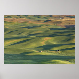 USA, WA, Whitman Co., Palouse Farm Fields From Poster
