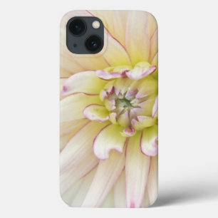 USA, Washington, Bellevue, Bellevue Botanical 2 iPhone 13 Case