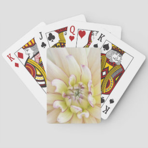 USA, Washington, Bellevue, Bellevue Botanical 2 Playing Cards