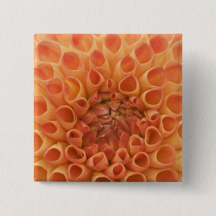 USA, Washington, Bellevue, Bellevue Botanical 3 15 Cm Square Badge