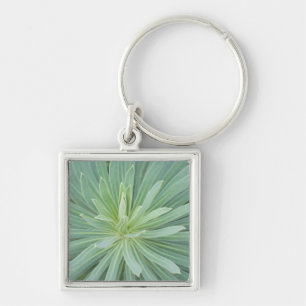 USA, Washington, Bellevue, Bellevue Botanical 4 Key Ring