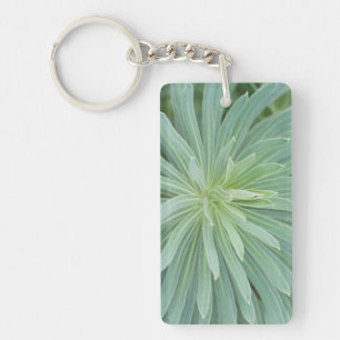 USA, Washington, Bellevue, Bellevue Botanical 4 Key Ring