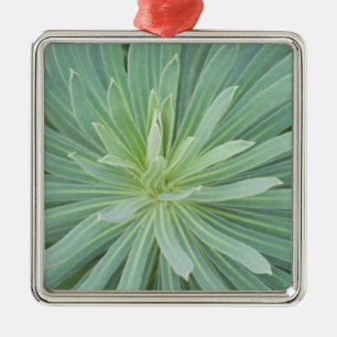 USA, Washington, Bellevue, Bellevue Botanical 4 Metal Tree Decoration