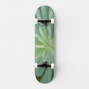USA, Washington, Bellevue, Bellevue Botanical 4 Skateboard