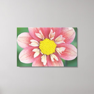 USA, Washington, Bellevue, Bellevue Botanical Canvas Print