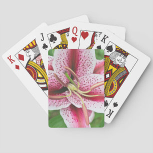 USA, Washington, Bellevue, Lily Playing Cards
