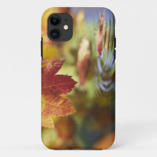 USA, Washington, Bellingham, Close-up of autumn iPhone 11 Case
