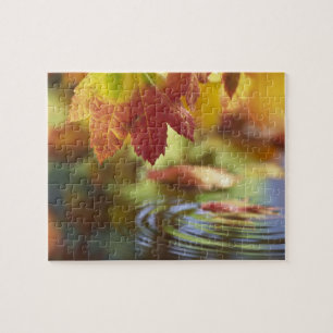 USA, Washington, Bellingham, Close-up of autumn Jigsaw Puzzle