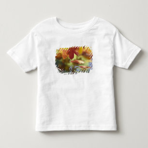 USA, Washington, Bellingham, Close-up of autumn Toddler T-Shirt