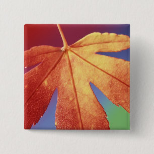 USA, Washington, Bellingham. Credit as: Steve 15 Cm Square Badge