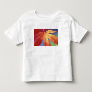 USA, Washington, Bellingham. Credit as: Steve Toddler T-Shirt