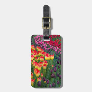 USA, Washington. Blooming Tulips 2 Luggage Tag