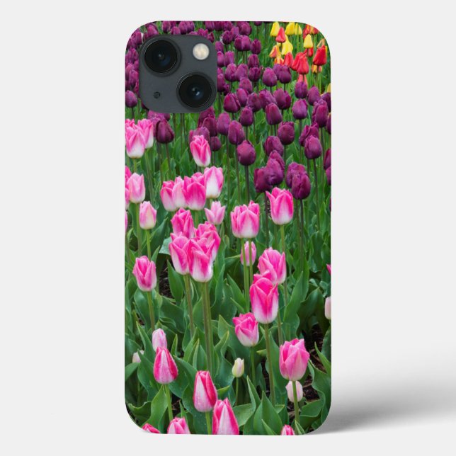 USA, Washington. Blooming Tulips Case-Mate iPhone Case (Back)