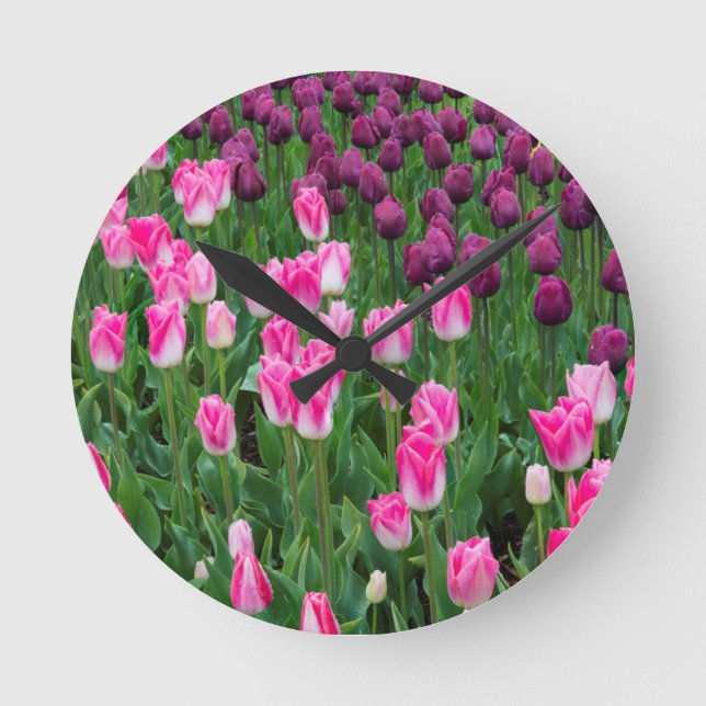 USA, Washington. Blooming Tulips Round Clock (Front)