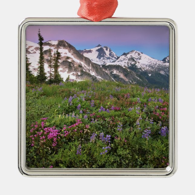 USA, Washington, Cascade Mountains, North Metal Tree Decoration (Front)