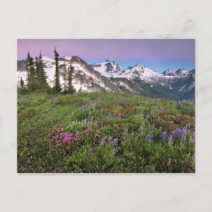 USA, Washington, Cascade Mountains, North Postcard