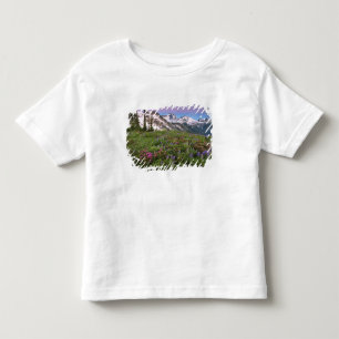 USA, Washington, Cascade Mountains, North Toddler T-Shirt