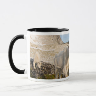 USA, Washington, Cascade Range 2 Mug