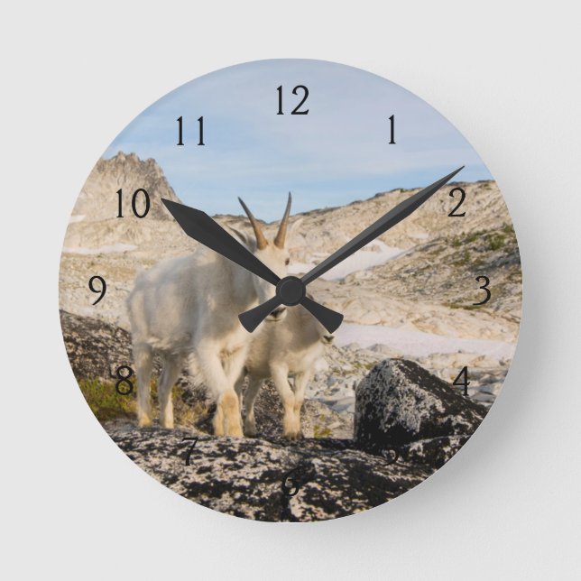 USA, Washington, Cascade Range 2 Round Clock (Front)