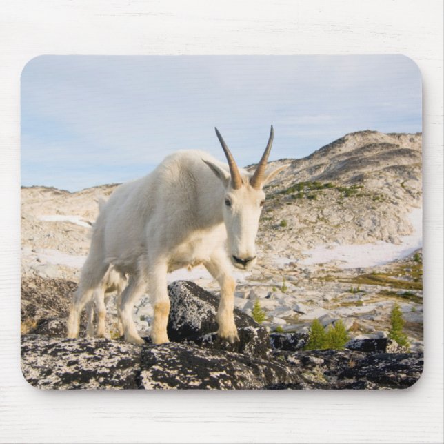 USA, Washington, Cascade Range 3 Mouse Mat (Front)