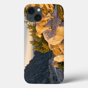 USA, Washington, Cascade Range 4 iPhone 13 Case