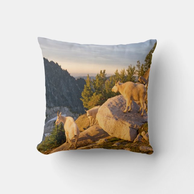 USA, Washington, Cascade Range 4 Cushion (Front)
