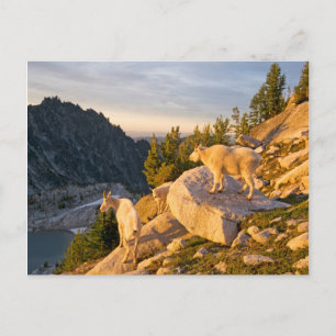 USA, Washington, Cascade Range 4 Postcard