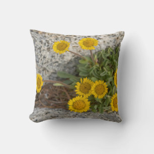 USA, Washington, Cascade Range 5 Cushion