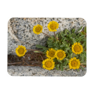 USA, Washington, Cascade Range 5 Magnet