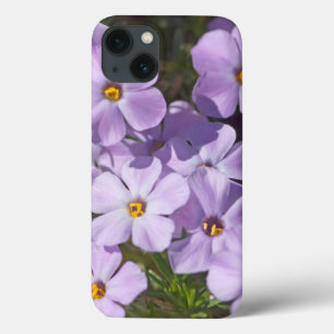USA, Washington, Cascade Range 6 iPhone 13 Case