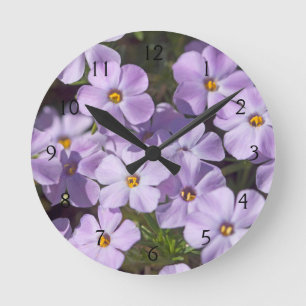 USA, Washington, Cascade Range 6 Round Clock