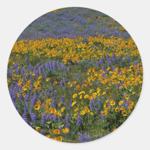 USA, Washington, Columbia River Gorge National Classic Round Sticker