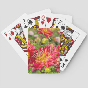 USA, Washington. Dahlia Flowers In Garden Playing Cards
