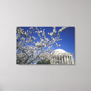 USA, Washington DC. Cherry Blossom Festival and 2 Canvas Print