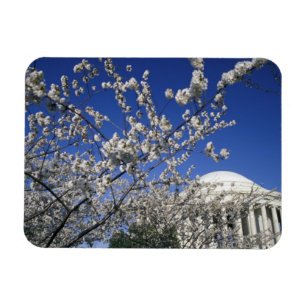 USA, Washington DC. Cherry Blossom Festival and 2 Magnet