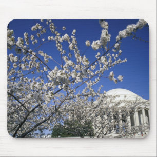 USA, Washington DC. Cherry Blossom Festival and 2 Mouse Mat