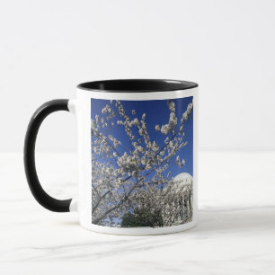 USA, Washington DC. Cherry Blossom Festival and 2 Mug