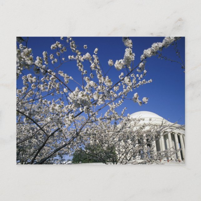 USA, Washington DC. Cherry Blossom Festival and 2 Postcard (Front)
